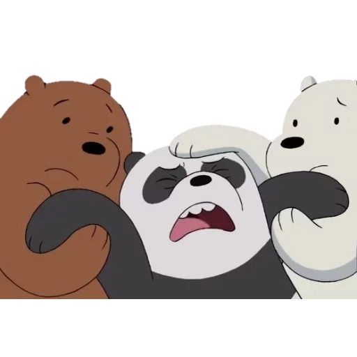 bare bears, we bare bears, die ganze wahrheit über den bären, chen sanmus ganze wahrheit über den bären, tom panda die ganze wahrheit über den bären