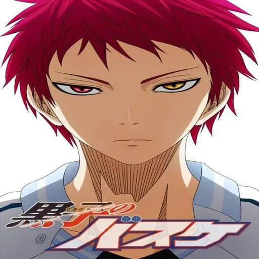 profil, anime akashi, seijiro akashi, karakter anime, hailamu sejuro