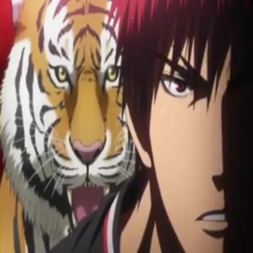 anime, ragazzi anime, personaggi anime, basketball kuroko animali, basket kuroko kagami tigre