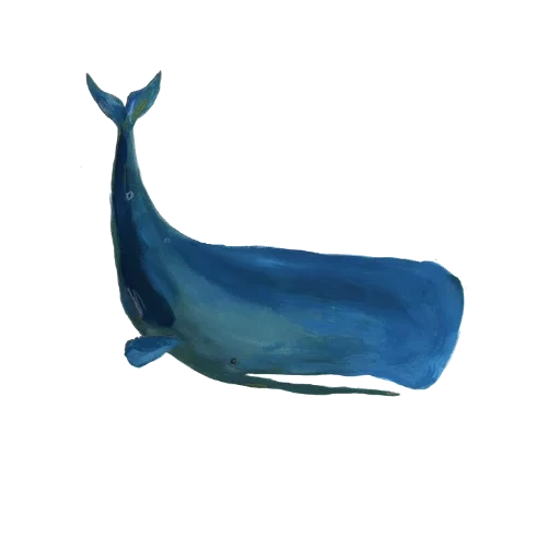 ballenas, ballena, ballena azul, esperma de kit, dibujo de permot