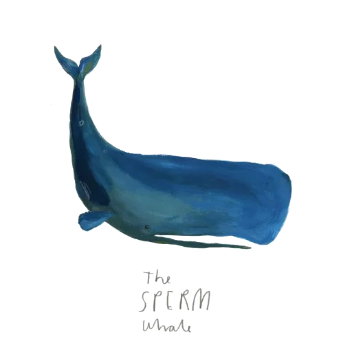 whale, whale, sperm whale, blue whale, sperm whale watercolor painting