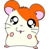 Hamtaro