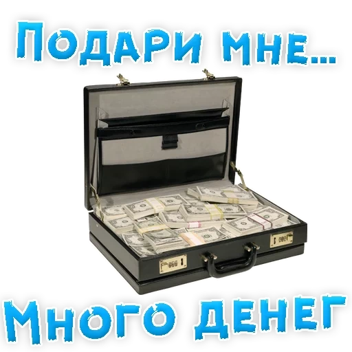 money, currency dollar, a suitcase full of money, a suitcase containing gambling money, just give me a lot of money