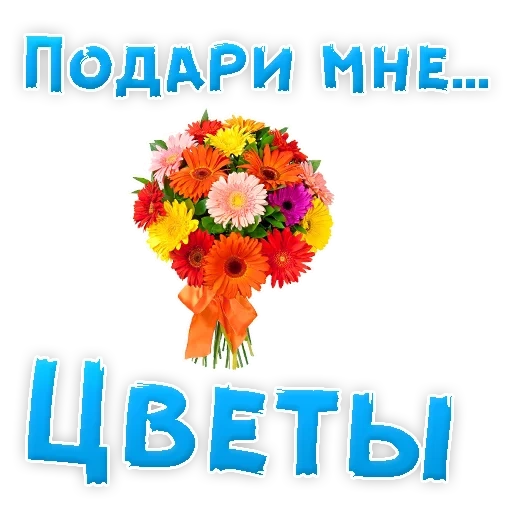 i fiori, ok.ru fiori, bouquet di crisantemi africani, mandami dei fiori, bouquet di fiori colorati