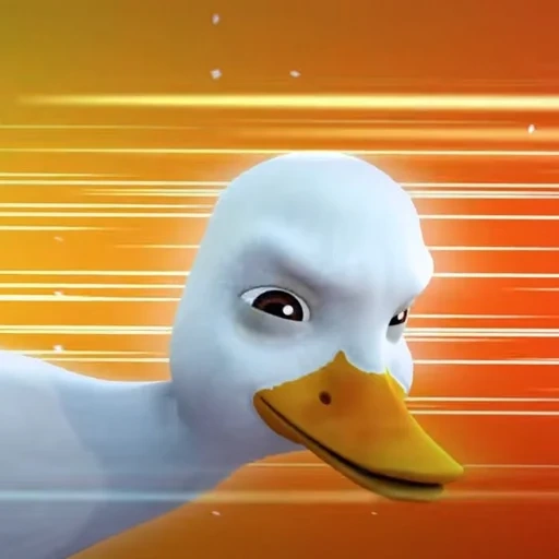 die ente, die ente, das entlein, the boy, the white duck