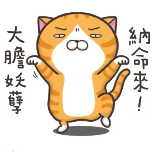 cat, cat, funny, smilly cat, chinese seal