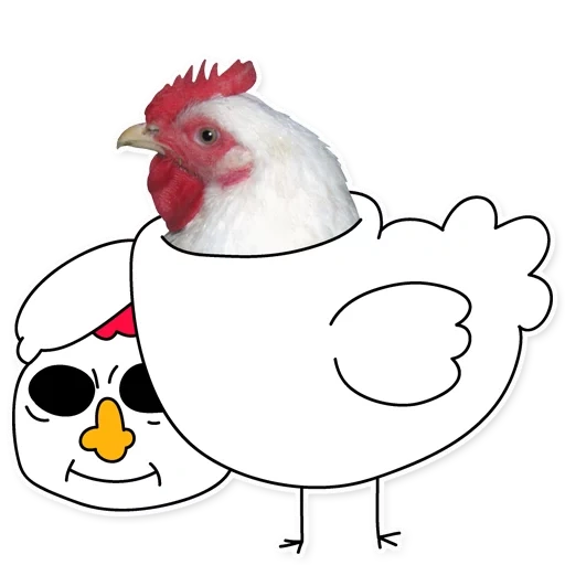 chicken, chicken meme, white chicken, chicken stripes, cartoon chicken