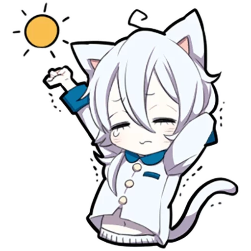 neko, shiro neko, gatito blanco