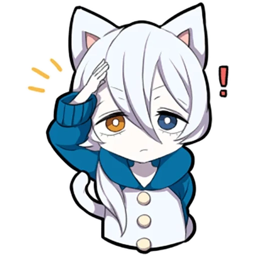 neko, shiro neko, gatito blanco