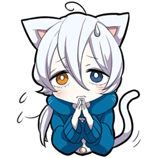 neko, shiro neko, white kitten