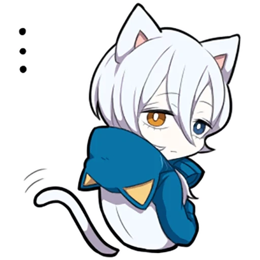 neko, shiro neko, white kitten