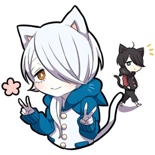 neko, alcuni, shiro neko, gattino bianco