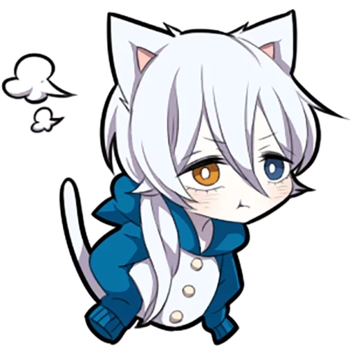 neko, alcuni, shiro neko, gattino bianco