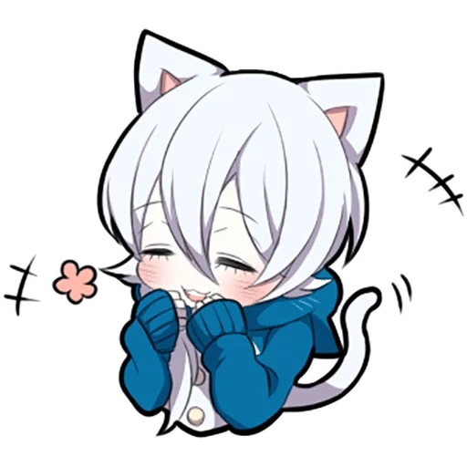 alguno, shiro neko, gatito blanco