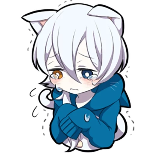 shiro neko, gatito blanco