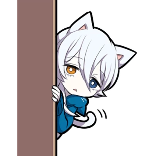 alguno, shiro neko, gatito blanco