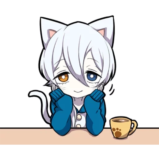 shiro neko, weißes kätzchen