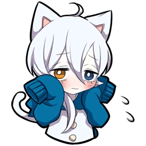 alguno, shiro neko, gatito blanco