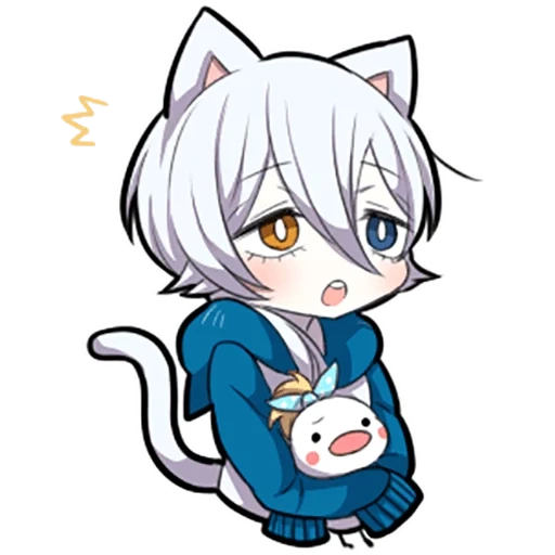 shiro neko, weißes kätzchen