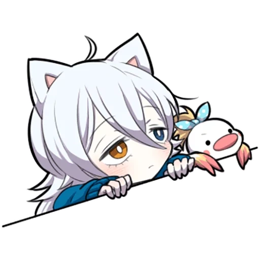 medicina interna, shiro neko, white kitten