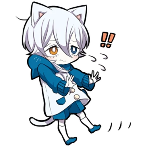 medicina interna, shiro neko, white kitten