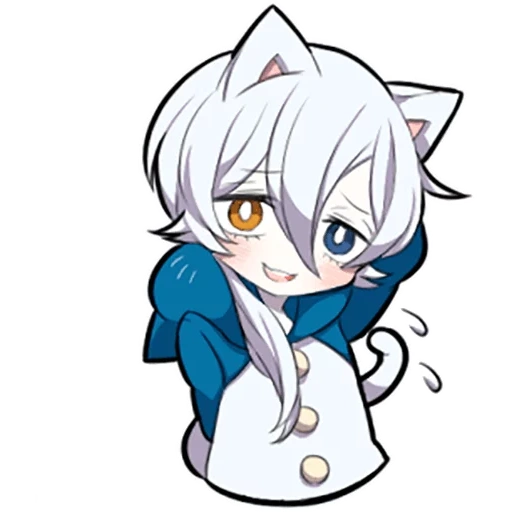 neko, shiro neko, gatito blanco