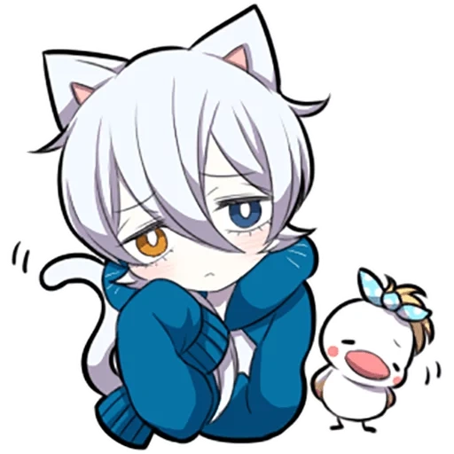 shiro neko, weißes kätzchen