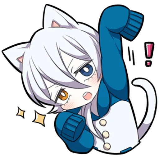 some, shiro neko, white kitten