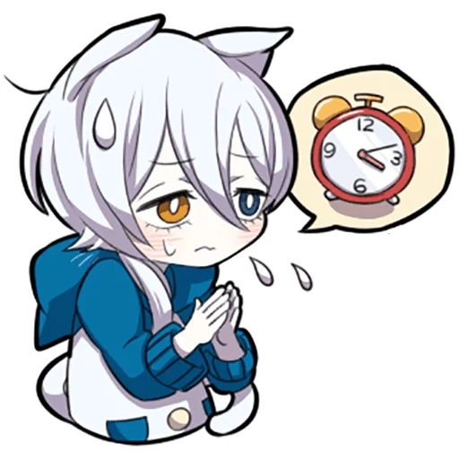 medicina interna, shiro neko, white kitten