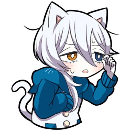 shiro neko, weißes kätzchen