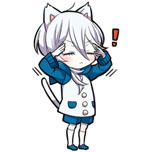 neko, shiro neko, gatito blanco