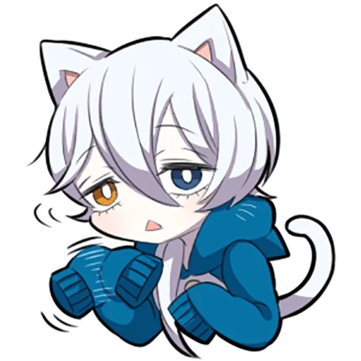 shiro neko, weißes kätzchen