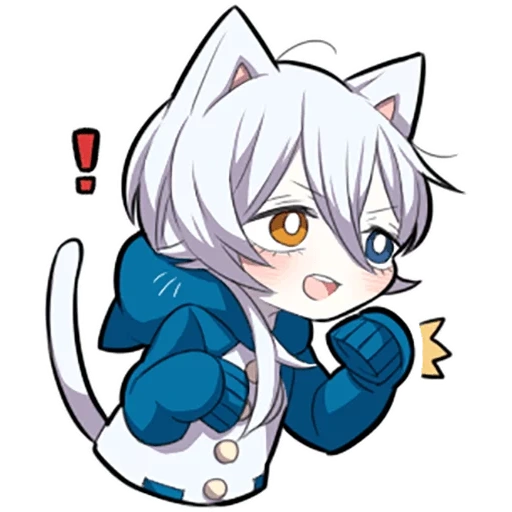 some, shiro neko, white kitten