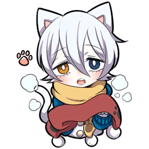 neko, alcuni, shiro neko, gattino bianco