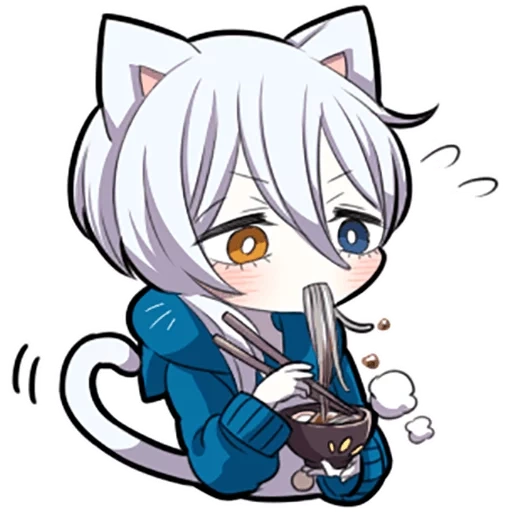 alguno, shiro neko, gatito blanco