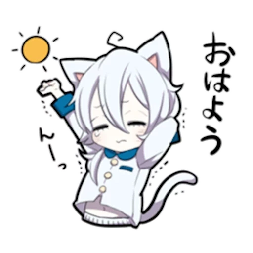 shiro neko, kitten putih, mafumafu neko