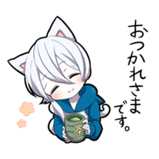 internal medicine, neko, shiro neko, white kitten