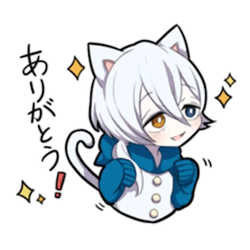 internal medicine, shiro neko, white kitten