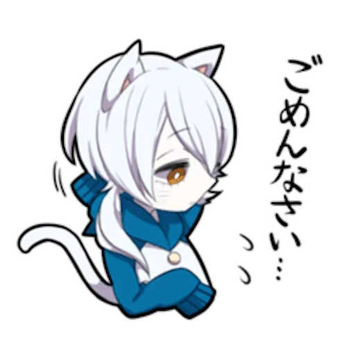 alguno, shiro neko, gatito blanco