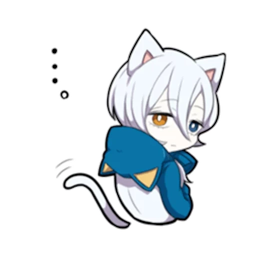 internal medicine, shiro neko, white kitten