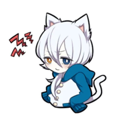 medicina interna, shiro neko, kitten bianco