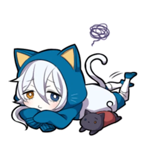 neko, shiro neko, gatito blanco