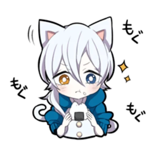 internal medicine, neko, shiro neko, white kitten