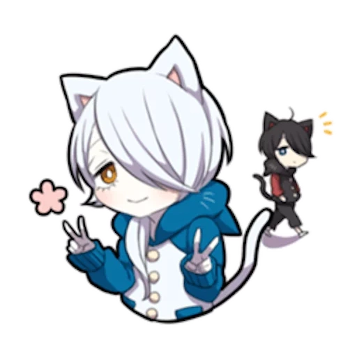 medicina interna, shiro neko, kitten bianco