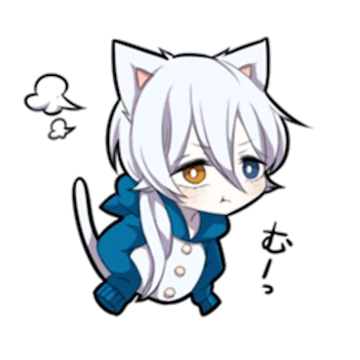 alguno, shiro neko, gatito blanco