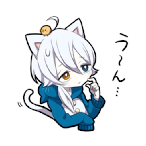 medicina interna, neko, shiro neko, kitten bianco