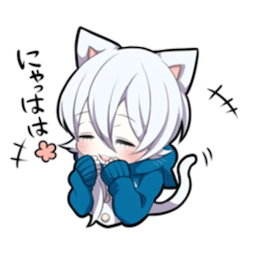 internal medicine, shiro neko, white kitten