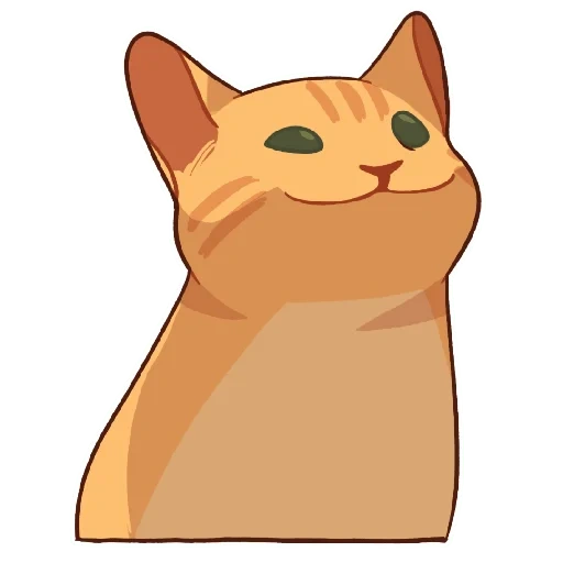 cat, cat, popular cat, smiling-faced cat, cat peach