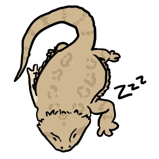 gecko, lézard, lézards, lézard mignon, dessin de lézard