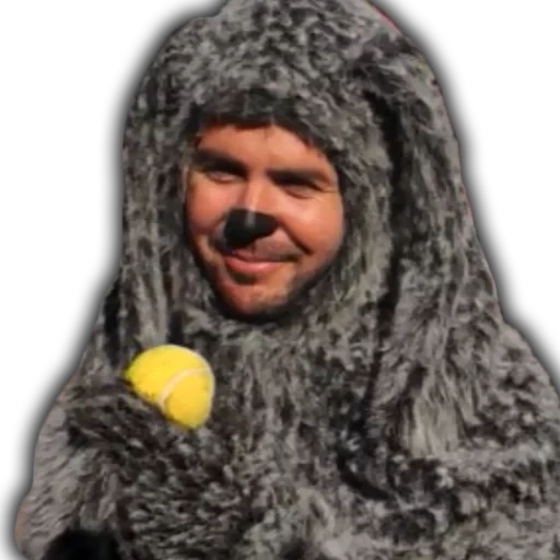 wilfred, o masculino, wilfred knight, thomas wilfred, série wilfred